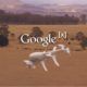 Los drones de Google nos podrían salvar la vida en un futuro