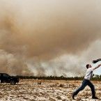 Juristas norteamericanos piden multas y condenas de prisión para los insensatos