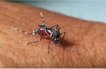 China utiliza drones para combatir el dengue