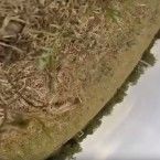 Compilación de caídas de drones