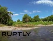 Un hombre se encierra en una jaula para estar cerca de los osos y poder grabarlos para su estudio