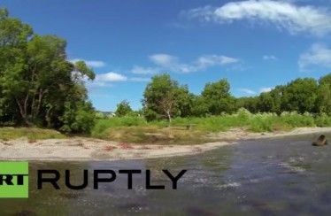 Un hombre se encierra en una jaula para estar cerca de los osos y poder grabarlos para su estudio