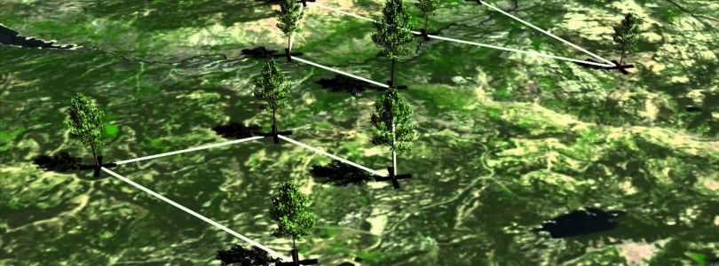 Una empresa pretende plantar 1.000 millones de árboles con los drones