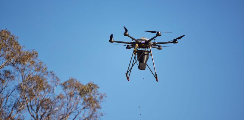 Nueva investigación investiga el impacto de los drones en la restauración ecológica.