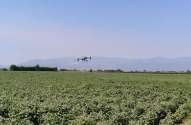 Drones para la agricultura: DJI y Peak3 lanzan un innovador seguro para agricultores tailandeses