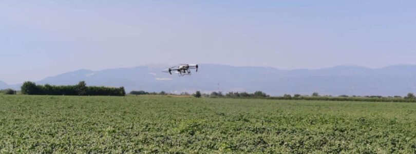 Drones para la agricultura: DJI y Peak3 lanzan un innovador seguro para agricultores tailandeses