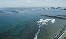 Programa de drones para entrega de sangre triunfa en las remotas islas de Japón