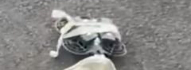 Primeras imágenes impactantes del DJI Neo 2 emergen en plena ola de rumores sobre Avata 3 y Mini 5 Pro