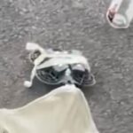 DJI Neo 2: Impactante mini dron ultraligero con batería de 11,6 Wh y 10,7% más de capacidad
