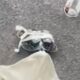 DJI Neo 2: Impactante mini dron ultraligero con batería de 11,6 Wh y 10,7% más de capacidad